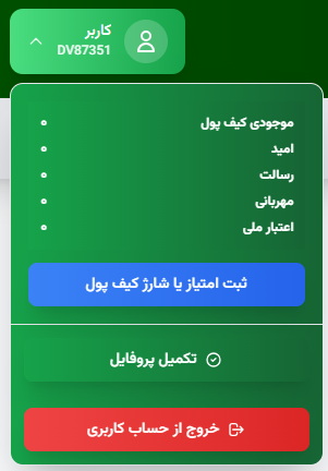 اطلاعات پروفایل کاربر